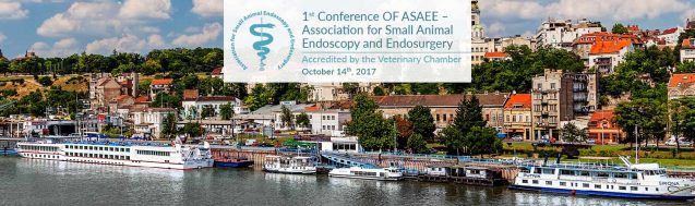 ASAEE Conference