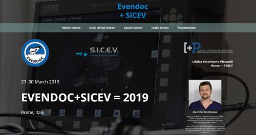 EVENDOC+SICEV, March 27-30 2019
