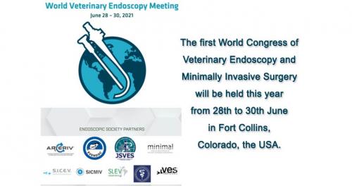 The 1st World Congress of Veterinary Endoscopy and Minimally Invasive Surgery, 28th to 30th June 2021